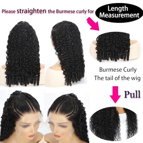 HONEY CROWN 13x6 Burmese Curly Lace Front Wigs Human Hair 180% Density Pre Braided Wig Water Wave HD Transparent Glueless Lace Frontal Wigs for Black Women Pre Plucked with Spiral End (24 Inch)