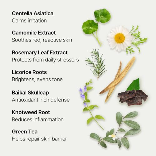 Green Caper Deep Hydration Cream (80ml / 2.70 Fl oz) Calming, Soothing, Panthenol, Hydrating for Sensitive and Dry Skin, Face Moisturizer, NDP