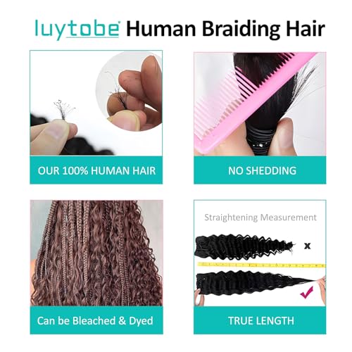 Boho Human Hair for Braiding 24 Inch Ginger #350 - 2 Bundles 100g Deep Wave Bulk for Knotless Braids (Curly, #350, 24 Inch)