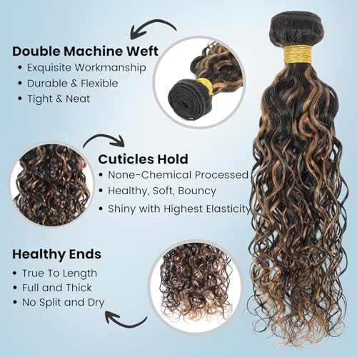 ALHER #1B/27 Highlight Black and Honey Blonde Water Wave 3 Bundles, Wet and Wavy Curly Balayage Ombre Blonde Bundles, 100% Unprocessed Virgin Remy Human Hair Soft Thick Sew In Double Weft 10 12 14 IN