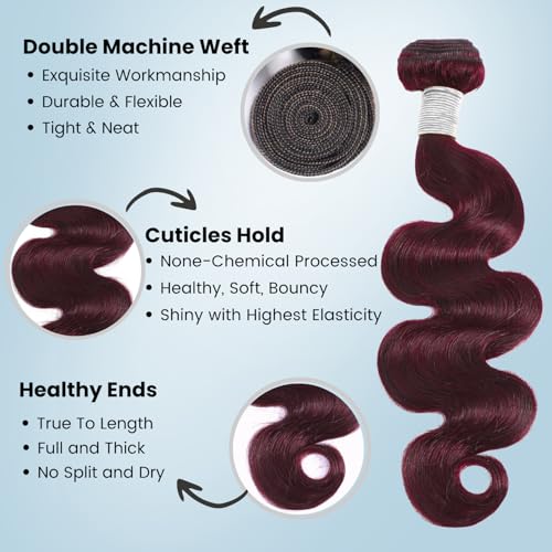 ALHER 99j Dark Burgundy Bundles Human Hair Body Wave, 12A 100% Unprocessed Virgin Remy Human Hair for Black Women Soft Thick Sew In Weave Wavy Wine Red Colored 2 Bundles 20 20 Inch