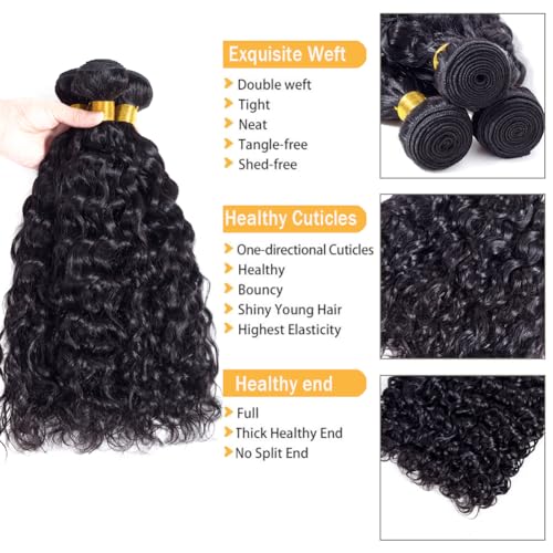Water Wave Human Hair Bundles Brazilian Remy Water Wave Human Hair Bundles 10A Curly Human Hair 3 Bundles Unprocessed Human Hair Extension Double Weft Natural Color for Black Women 20 22 24inch