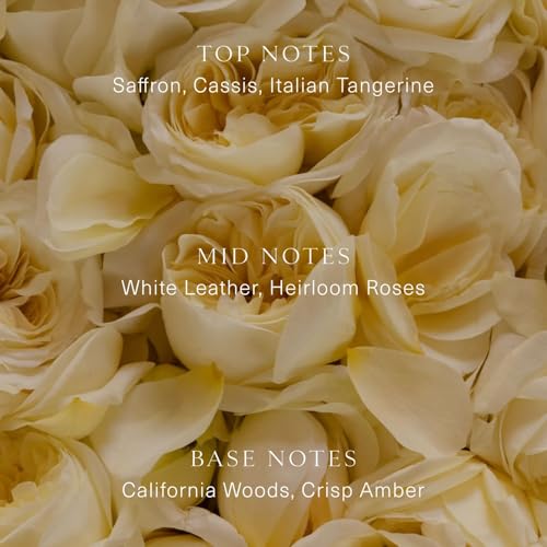 Oak Essentials Cuir Rose Eau De Parfum | Clean Fresh Floral Fragrance with Rose, Cassis, Saffron & Amber, 50 mL