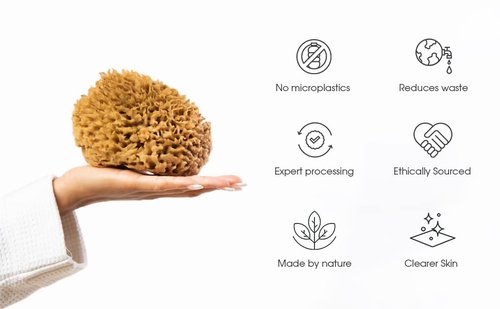 Naroa Soft Natural Sponge X Large | Gentle Sea Loofah for Bathing Smooth Skin | Unbleached Shower Body Scrubber Puff | Bath & Spa