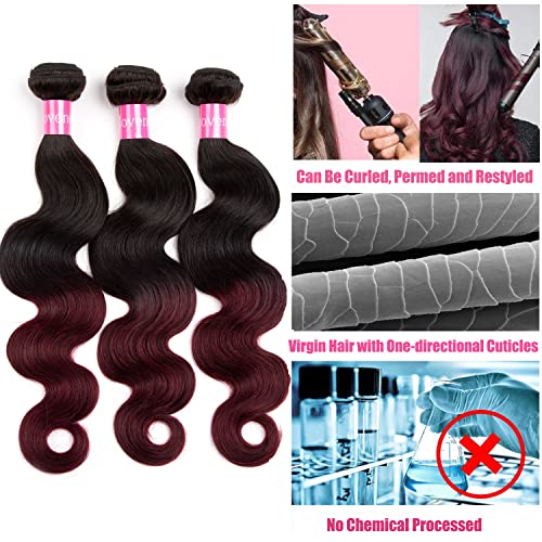 Ombre Brazilian Body Wave Human Hair Bundles With Closure Body Wave 3 Bundles with 4x4 Free Part Lace Closure 2 Tone Black to Burgundy Color Human Hair Extensions(T1B/99J, 18 20 22+14)