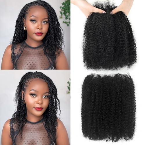 Dilekay Afro Kinkys Bulk Human Hair 16 Inch 2 Bundles 100g 100% Human Hair for Mini Twist Braiding Dreadlocks Extensions Locs Repair Afro Kinky Curly Hair Bulk Natural Black