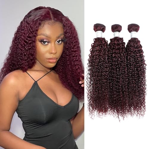 12A #99J Kinky Curly Human Hair Bundles, 100% Unprocessed Remy Human Hair Dark Burgundy Red Wine Colored Tight S-shaped Culry Thick and Soft Bundles Sew in Weave 12/14/16 Inch