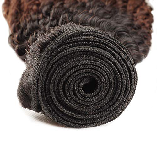 Allove Hair Ombre Human Hair Bundles Kinky Curly Bundles 3 Bundles (16 18 20inch) 12A Brazilian 3 Tone Ombre Color Curly Virgin Remy Human Hair Bundles Weave T1B/4/27