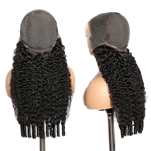 Lemoda 13x6 Full Lace Frontal Wig 180% Density Burmese Curly Wig Human Hair 13x6 HD Transparent Lace Frontal Wigs Pre Plucked 15A Burmese Virgin Human Hair Wigs for Women 22 Inch