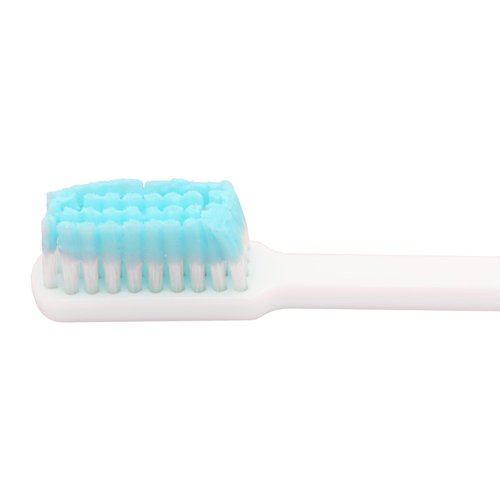ReadyBrush Prepasted Reusable Toothbrush- 30 Pack- Made in the USA