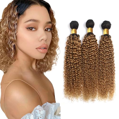 20 22 24 inch 1B27 Honey Blonde Kinky Curly Human Hair Bundles Ombre Blonde Curly Wave Bundles Human Hair Unprocessed Brazilian Virgin Weave Hair Bundles Kinky Curly Bundles Human Hair