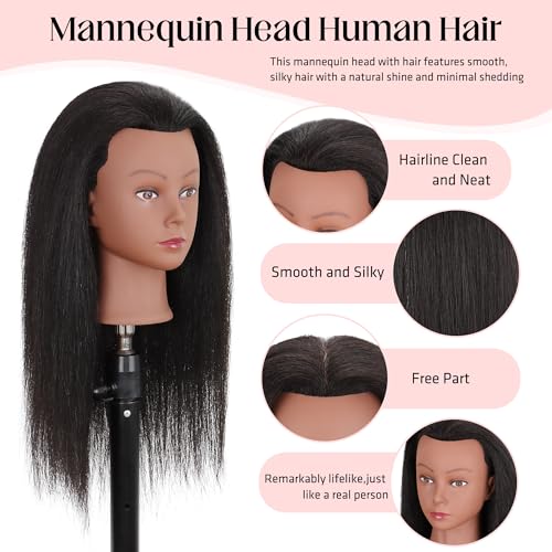 Mannequin Head 100% Real Human Hair 16", Mannequin Head Human Hair Cosmetology Doll Head for Hair Styling, Manikin Head for Braiding With Clamp Holder