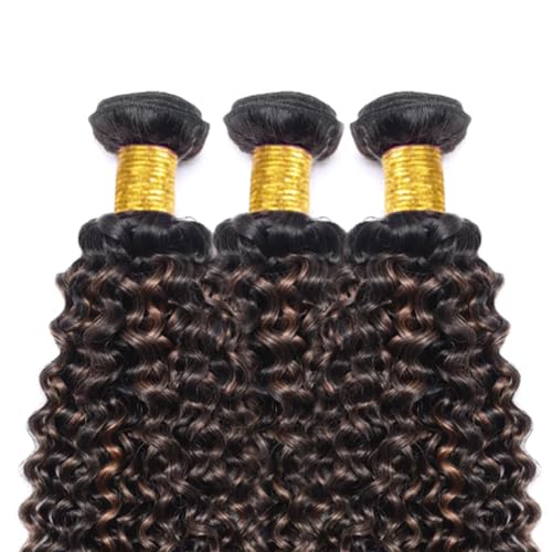 1B30 Bundle P1B30 Highlight Curly Wave Human Hair Bundles Highlight Brown 3 Bundles 34 34 34 Inch Two Tone Black Mixed With Color 30 Kinky Curly Bundle