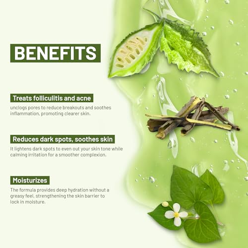 ABERA High-Performance Folliculitis Body Wash with Wild Bitter Melon Extract, BHA Shower Gel, Reduces Back Acne & Keratosis Pilaris, Folliculitis Treatment, Acne Body Wash for Sensitive Skin, 10.14 oz