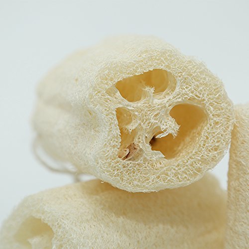 4" Natural Loofah Exfoliating Body Sponge Scrubber, Plant-Based Organic Loofa Luffa for Men & Women Skin Care Bath Shower Cleaning Back & Fac, Natural Sponges for Dishes, Pack of 4