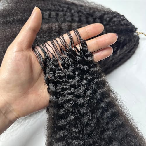Kinky Straight Crochet Hair Extensions Knotless Pre-Separated Feather Crochet Human Hair Seamless Reusable 20inch 240g For Women