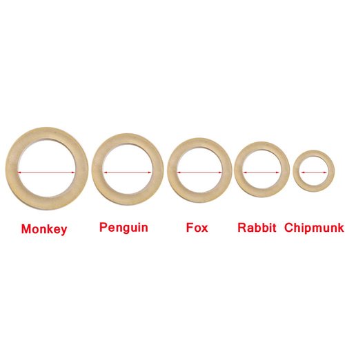 Angzhili 10 Bag Dental Orthodontic Rubber Bands,Elastic Rubber Bands,Orthodontic Supply (5/16")