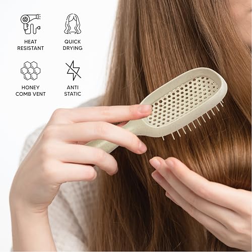 TADA Natural Beauty Hair Brush Detangler for Curly, Thick, Wavy, and Thin Hair - Ventilation Holes for Quick Drying and Styling, Detangler Brush for Women, Men, Kids (4 Colors) (4PK)