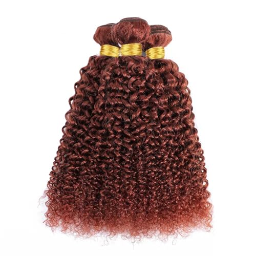 Reddish Brown Human Hair Bundles Curly Wave Color #33 Copper Red Brown Wet and Wavy Unprocessed Native Virgin Raw Trippy Hair Extensions 3 Bundles 16 18 20 Inch Quick Weave Double Weft for Black Woman
