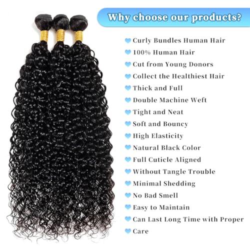 Human Hair Bundles Burmese Curly Bundles Human Hair Water Wave Curly Wet 26 28 30 inch 100% Unprocessed and Wavy Natural Black Color