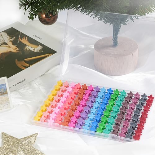 120 Mini Hair Accessories: Colorful Claw Clips, Flower Clips in a Beautiful Box for Women, Girls and Toddlers