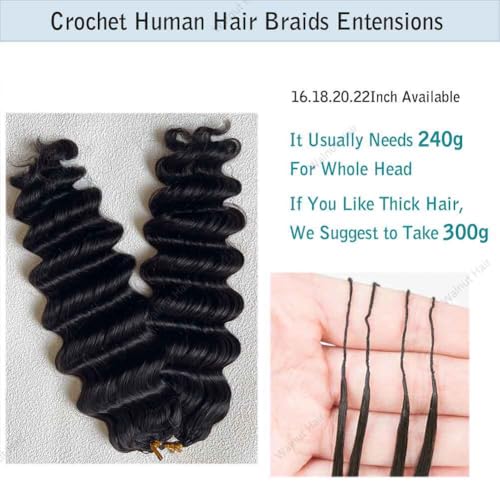 Deep Wave Crochet Human Hair Extensions Brazilian Virgin Feather Human Hair Bundles Pre Separated Braiding Hair Pre Looped for Boho Braids For Black Women Walnut Hair Natural Color 18inch 120g