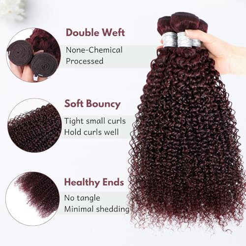12A #99J Kinky Curly Human Hair Bundles, 100% Unprocessed Remy Human Hair Dark Burgundy Red Wine Colored Tight S-shaped Culry Thick and Soft Bundles Sew in Weave 10/12/14 Inch