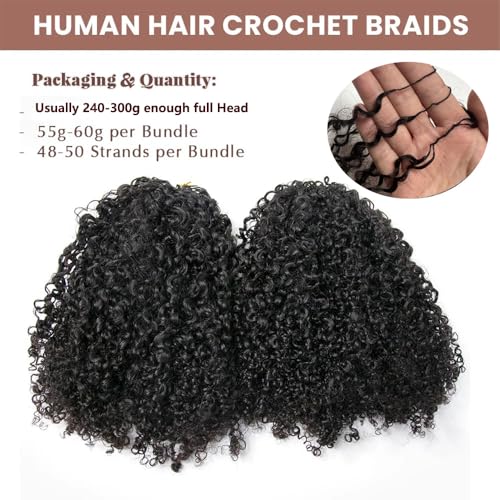 Kinky Curly Crochet Human Hair Extensions Pre-Separated Crochet Hair Multi-Textured Kinky Curly Reusable Micro Twists 18in 120g (Usually 240g Full Head) Natural Black
