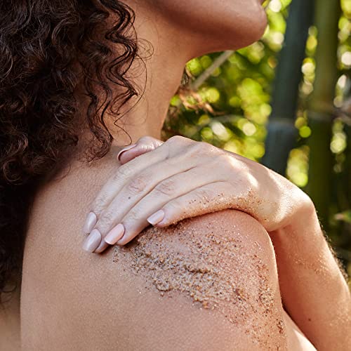 LATHER - Bamboo Lemongrass Foaming Body Scrub, 8 oz - Moisturizer & Exfoliating Body Scrub - Safe for Sensitive Skin - Almond Protein, Fruit, Aloe, Sea Salt - Vegan & Cruelty Free - Beauty & Skin Care