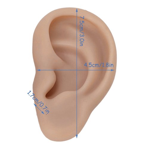 Dioche 1 Pair Silicone Ear Model Piercing Practice Model Silicone Ear Model Ear Body Part Kit for Earrings Display Ear Piercing Exercise (Deep Skin Color)
