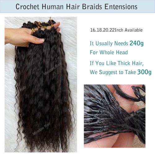Knotless Crochet Human Hair Braids Extensions Pre Separated Wet and Wavy Brazilian Virgin Human Hair Braiding Bundles With Threading for Black Women Micro Link Meadow Hair 20inch 120g