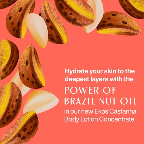 Natura Ekos Castanha Body Lotion Concentrate Kit - Anti-Dryness - Deep Skin Hydration Moisturizer - Vegan Skin Care - Self Care & Body Care