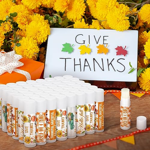 50 Pcs Thanksgiving Lip Balms Friendsgiving Party Favors Bulk Thanksgiving Lip Balm Fall Party Gifts Autumn Basket Stuffers Small Thank You Gift for Women Men Staffs (Honey Flavor)