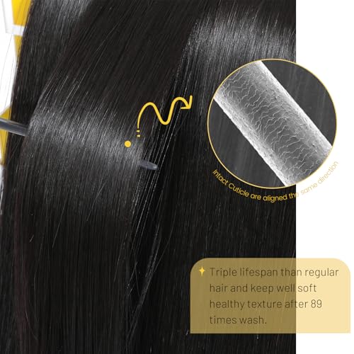 Urbeauty Raw Bundles Human Hair, No Tangle Shedding, Keep Texture Silky Soft after 89 Times Washes, 16A Raw Indian Hair Bundles Triple Lifespan Chemical Free Unprocessed Natural Raw Hair