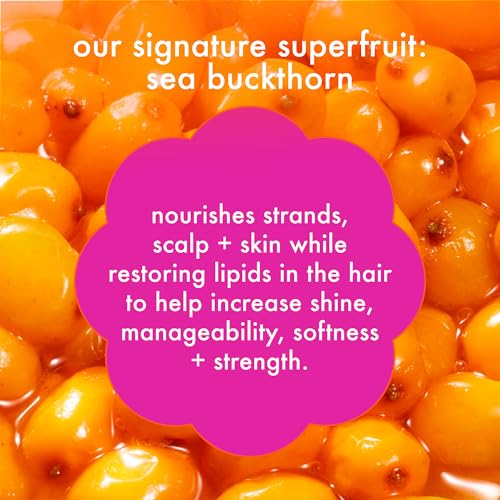 amika normcore signature shampoo, 500ml