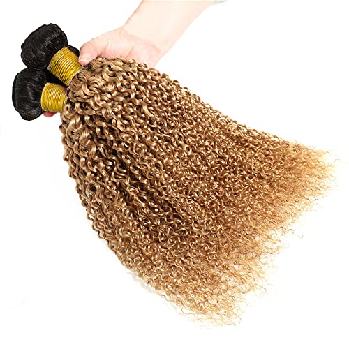 Ombre 1B27 Kinky Curly Bundles Black To Honey Blonde Human Hair Bundles Curly Wave Grade 8A Brazilian Remy Hair Weaves Extensions For Women 26 28 30 Inch