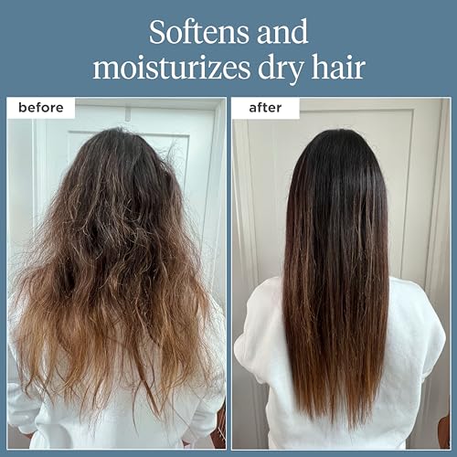 Briogeo Scalp Revival Rosemary Pre-Wash Oil, Hair and Scalp, Dry Scalp Treatment for Stronger and Longer Hair, Soothe Dry Scalp, Lipids and Vitamins, Deep Moisture, Vegan, Cruelty-Free