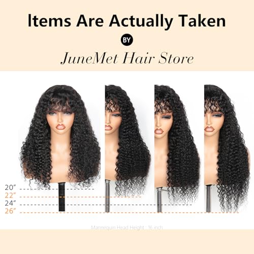 Ruiyu Shaggy Haircuts Curly Wig with Bangs Human Hair 2x4 HD Lace Closure Wear and Go Glueless Wig Water Wave Wigs with Bangs for Black Women 100% Brazilian Virgin Human Hair 20 Inch