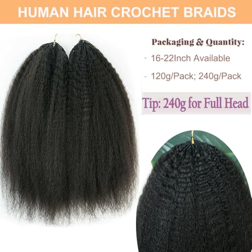 Feather Crochet Hair Kinky Straight Human Hair For Black Women Pre-Separated Knotless Invisble Micro Loop Hair Extensions Crochet Human Hair Yaki For Braiding 22inch 120g