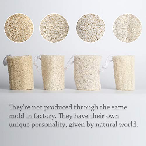 4" Natural Loofah Exfoliating Body Sponge Scrubber, Plant-Based Organic Loofa Luffa for Men & Women Skin Care Bath Shower Cleaning Back & Fac, Natural Sponges for Dishes, Pack of 4