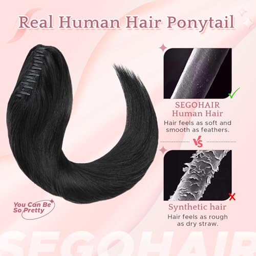 Human Hair Claw Clip Ponytail Extension 100% Real Human Hair Clip-In Extensions for Women Long Straight Pony Tails 22 Inches 120g #01 Jet Black