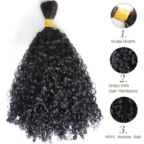 Afro Kinky Bulk Human Braiding Hair 100% Unprocessed Brazilian Virgin Human Hair Extensions Micro Kinky Curly Braids Hair Braids Double Drown Full End Bulk Hair 18 Inch 300g