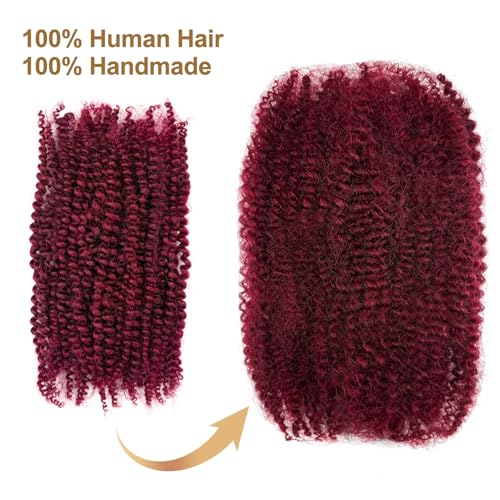 8 Inch Human Braiding Hair Afro Kinkys Bulk Human Hair for Dreadlocks Extensions Repair Locs Soft Locs1 Bundle 40 Gram (8Inch, 99j)