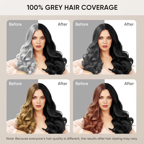 Hair Dye Shampoo for Gray Hair, 3 in 1 Herbal Ingredients Natural Dye for Women Men, Grey Coverage(500mL,17.6 Fl Oz) (Black)