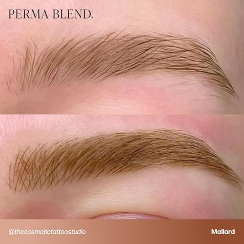 Perma Blend Cool Eyebrow Mini Set - Vegan PMU Tattoo Ink for Brows & Eyeliner - Microbalding Supplies for Permanent Makeup - Cool-Toned Pigment Kit for Cosmetic Tattoo Artists