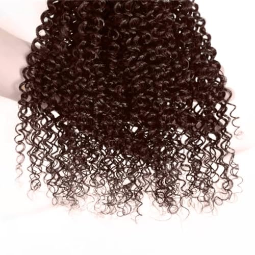 Condescension Brazilian Human Hair Bundles 10 12 14 Inch Jerry Curly 3 Bundles Human Hair 100% Unprocessed Remy Brazilian Virgin Weave Hair Chocolate Brown 4 for Women