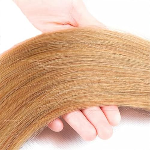#27 Honey Blonde Bundle Human Hair Blonde Human Hair Bundles Straight 1 Bundle Color 27 12 Inch Blonde 100G/PC Unprocessed Brazilian Virgin Double Weft Hair Extension