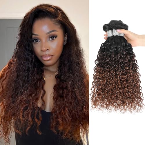 ALHER 12A Ombre Human Hair 3 Bundles Water Wave 20/22/24 Inch, Salon Quality Soft Thick Chestnut Brown Ombre Curly Bundles Wet and Wavy 100% Remy Hair #T1B/2/30 Dark Root to Medium Auburn Sew In Weave