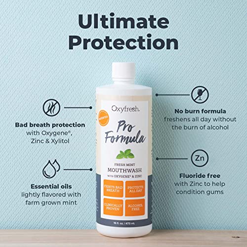Oxyfresh Pro Formula Fresh Mint Mouthwash ? Patented Zinc Mouthrinse for Fresh Breath, Healthy Gums & Bad Breath Treatment for Adults - Dye, Fluoride & Alcohol Free (1 Gallon)