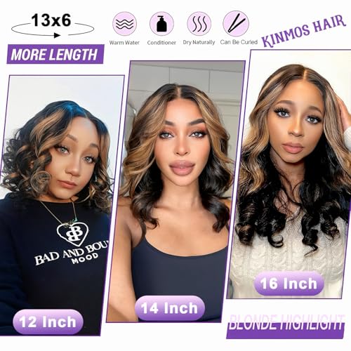 Lace Front Wigs Human Hair Wigs for Women Glueless Lace Frontal Wigs Human Hai.r Pre Plucked with Baby Hair (Ombre Highlight, FB/30 18 Inch)